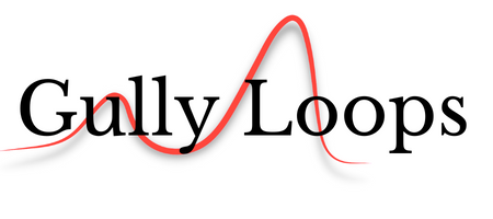 Gully Loops